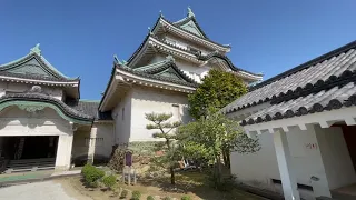 Wakayama Castle | Wakayama | Japan | Port Guide | Diamond Princess | Aburatsu | Miyazaki