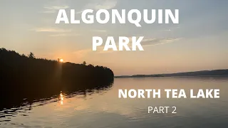 Algonquin Park Canoe Trip | North Tea Lake PART 2