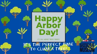 Arbor Day - Climb a Tree!