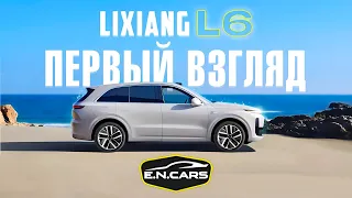 НОВЫЙ L6 ! ПЕРВЫЙ взгляд на РУССКОМ! Маленький СЕРЫЙ СЛОНЕНОК!