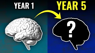 How Years Of Language Learning Affects Your Brain