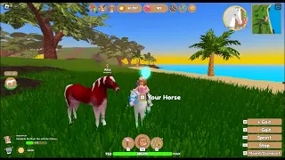 I catch a *NEW* wild burgundy perch / wild horse island roblox (val 24 event)