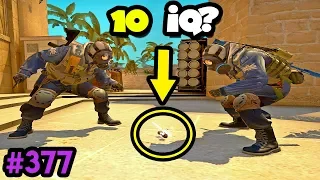 300 IQ DECOY vs 10 IQ team - CS:GO BEST ODDSHOTS #377