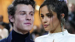 Camila Cabello & Shawn Mendes Reunite At 2022 Met Gala After Split