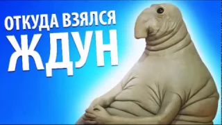 Откуда взялся ждун