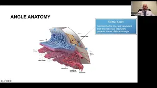 Lecture: Using Simulation Models to Prepare Surgeons for Their First MIGS Cases