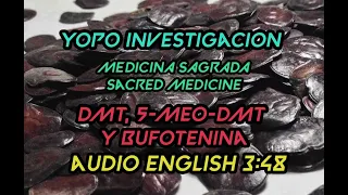 #15 Yopo Investigacion✅ Anadenanthera peregrina DMT,  5-MeO-DMT Y Bufotenina ¡MEDICINA POTENTE!😍🔥😱😱😱