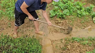 dig drainage ditches to avoid flooding for crops and process food for animals