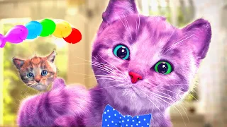 FUNNIEST CUTE LITTLE KITTEN ADVENTURE - CARTOON KITTY AND ANIMAL FRIENDS ON THE ROAD - LONG SPECIAL