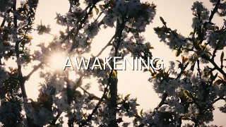 Awakening | Nature Video | Sony a6700 & DJI Mavic 3 Classic  #sonyalpha #djiglobal #cinematic