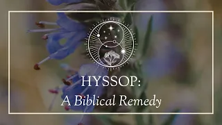 Hyssop: A Biblical Remedy