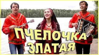 ПЧЕЛОЧКА ЗЛАТАЯ