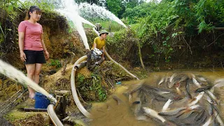 Harvest fish, modern technology use 4 pumps to suck 200 blocks of wild lake, nets fishing and sell