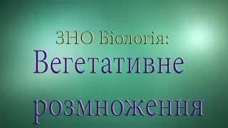 ЗНО Біологія  Вегетативне розмноження