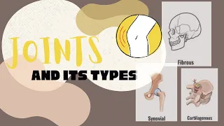 Joints and its type with examples | simplified | #joints #types #examples #easy | @themedcorner