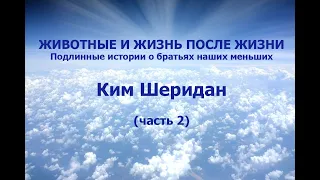 ЖИВОТНЫЕ И ЖИЗНЬ ПОСЛЕ ЖИЗНИ. Подлинные истории о братьях наших меньших. КИМ ШЕРИДАН