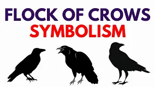 Flock of Crows Symbolism - What if a Crow if your Spirit Animal?