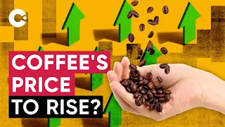 Coffee: What Moves its Price? | Explaining the Economics of Coffee