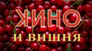 Алексей Вишня против группы "Кино"