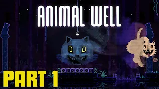 Animal Well - Part 1 Walkthrough (Red Egg, Truth Egg, Future Egg Locations) Gameplay