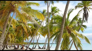 Saona Island - Dominican Republic 2020 gopro  s9+