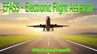 EFASS - Electronic Flight Assistant для MFSX/X-plane/Prepar3D (VATSIM) Rus