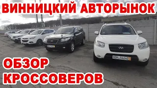 Обзор кроссоверов и внедорожников на Винницком авторынке в ноябре