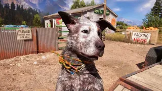 Far Cry 5 - How To Find Boomer The Dog & Stash (Let's Play #3)