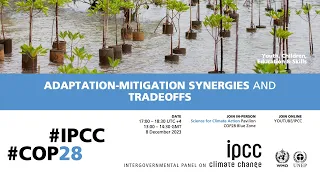 Adaptation-Mitigation Synergies and Tradeoffs