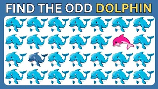 Find the odd one out | Sea World edition 🐠🐬🦐 | Easy, Medium, Hard 30 Levels Quiz| Quiz Battles