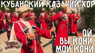 Ой, вы кони, мои кони | Государственный академический Кубанский казачий хор | Играй, гармонь!