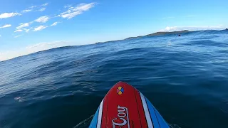 Surf POV Spot C GoPro Hero 8 Black There's some nice waves if you're in the right spot..