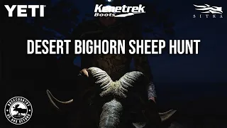 MARCH DESERT BIGHORN SHEEP HUNT