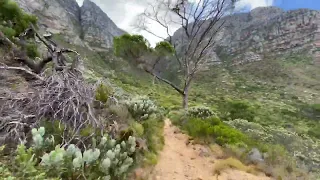 Pipe Track from Kloof Nek, Table Mountain, Trail Running (9.5km - 1h8m), Cape Town - South Africa