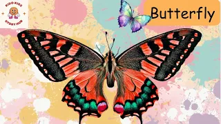 Butterfly|facts about butterfly|Metamorphosis|pollination|Episode 7
