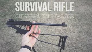 Chiappa Little Badger - Survival Gun Review - Day 16