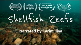 Shellfish Reefs: Filters of the Sea