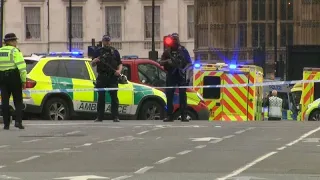 Auto rast in Barrieren vor Parlament in London: 2 Verletzte, 1 Mann festgenommen