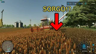 Farming simulator 22 #6 I żniwa sorgo