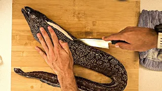 How To Fillet a Giant Moray Eel