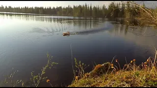 Большое путешествие маленького FPV Катера