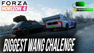 Forza Horizon 4 - Who has the Biggest WANG? | Audi Quattro S1 vs Peugeot 205 FE w/Facecam!