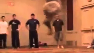 Capoeira -  verdadeiro besouro