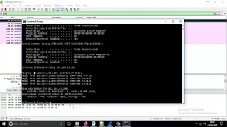 Lab   Use Wireshark to Examine Ethernet Frames Topology