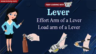 Lever | Mechanical Advantages of Lever | Examples of Lever | Effort arm, Load arm, Fulcrum | Science