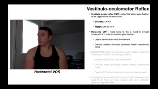 Vestibulo-Oculomotor Reflex (VOR) EXPLAINED