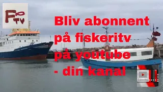 Erhvervsfiskeriets tv kanal   fiskeritv på youtube