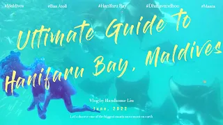 Maldives | Ultimate Guide to Hanifaru Bay Manta Snorkeling & Dharavandhoo Island Trip | June 2022