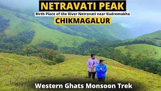 Netravathi Peak Trek - River Netravati Birth Place - Places to Visit in Chikmagalur - Kudremuk Trek