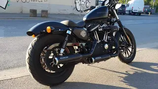 Harley Davidson Sportster 883 Iron (Sound Check)